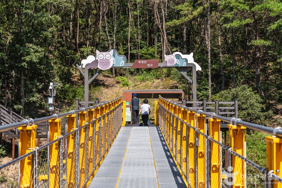 월영산 출렁다리 이미지 5