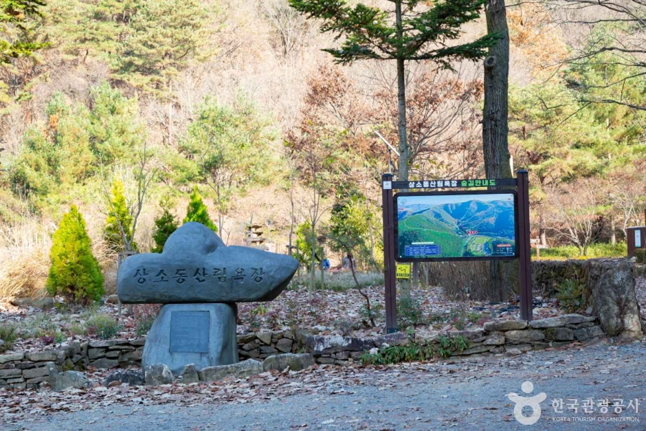 대전 상소동 산림욕장 이미지 7