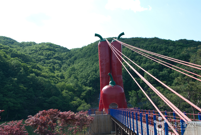 천장호 출렁다리 이미지 6