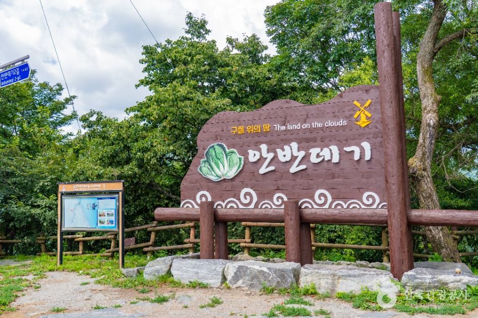 강릉 안반데기 마을 이미지 5