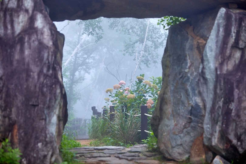 정선 로미지안 가든 이미지 6