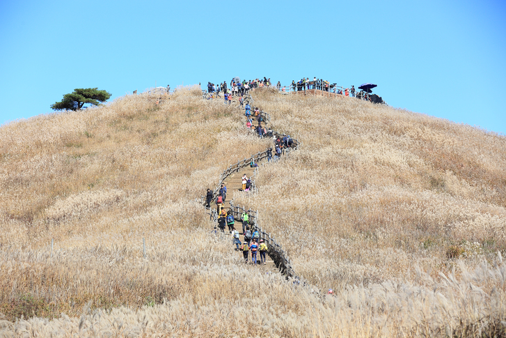 정선 민둥산 _한국의 알프스 이미지 3