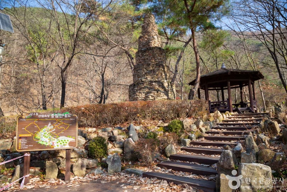 대전 상소동 산림욕장 이미지 5