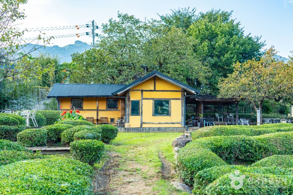 하동 매암제다원 이미지 1