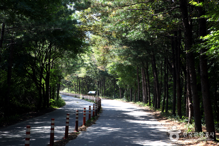 괴산 화양동계곡 이미지 8