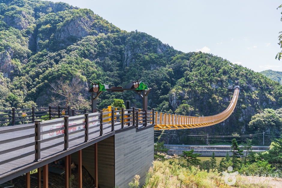 월영산 출렁다리 이미지 6