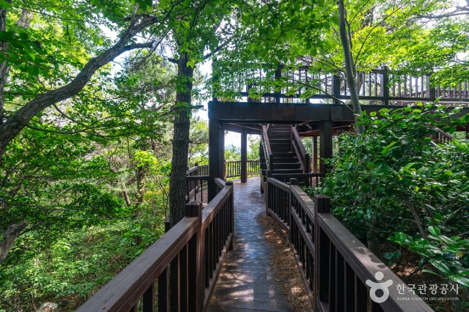 병대도전망대 이미지 5