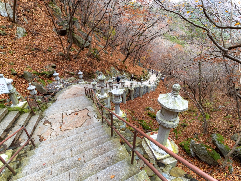 팔공산국립공원 갓바위 이미지 5