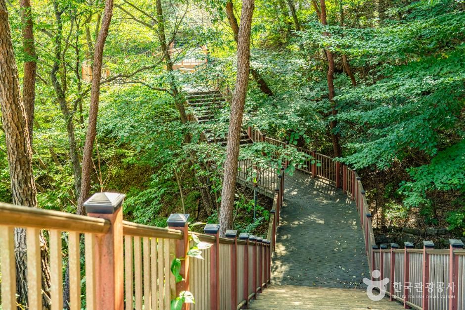 하동 구재봉자연휴양림 이미지 10