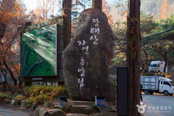 대전 장태산 자연휴양림 썸네일